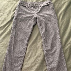 Ann Taylor LOFT Gray Jeans Pants SZ 30/10